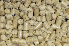Wasp Green biomass boiler costs