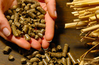 free Wasp Green biomass boiler quotes